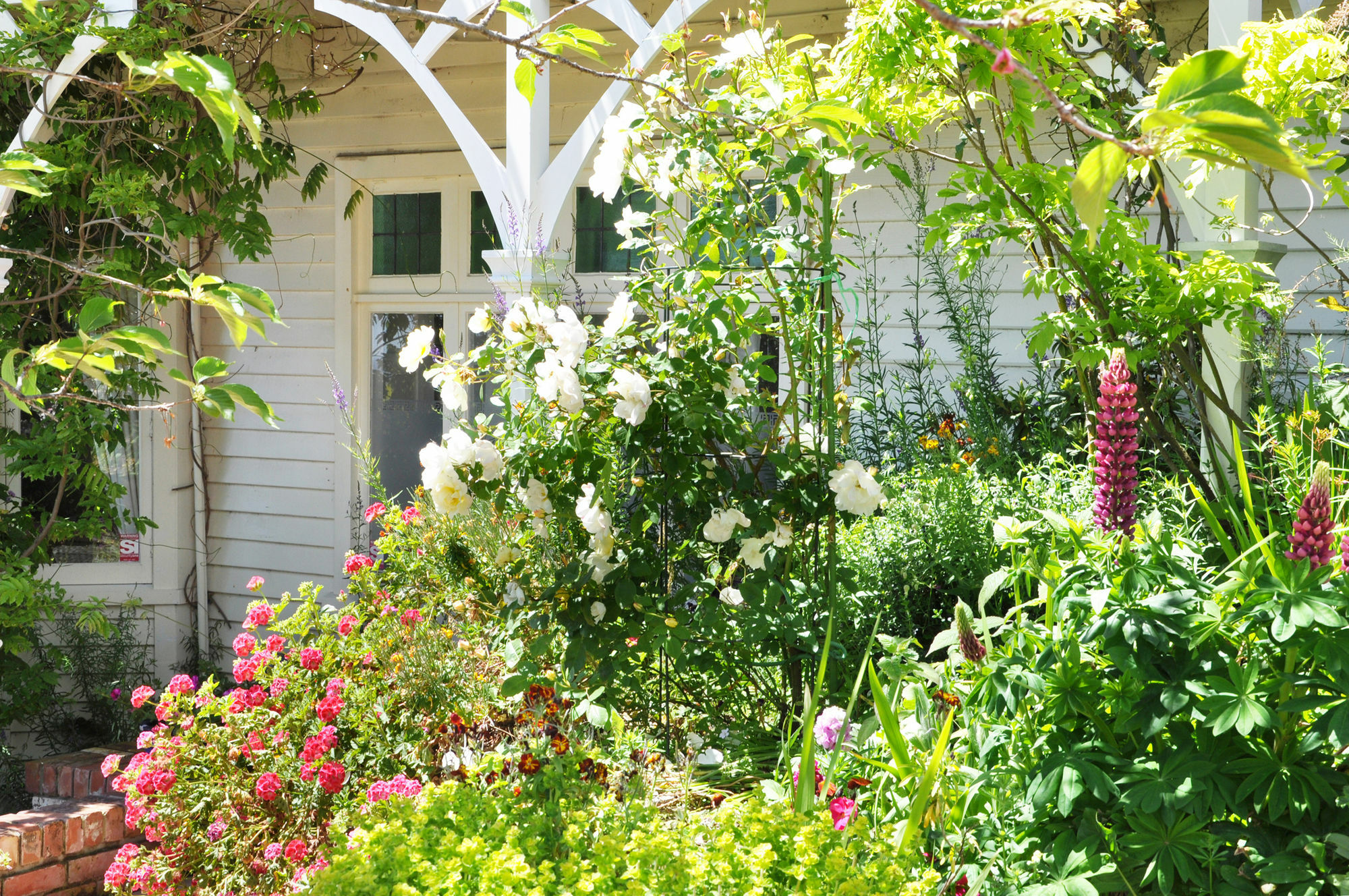 Dyers House Bed & Breakfast Christchurch Exterior photo