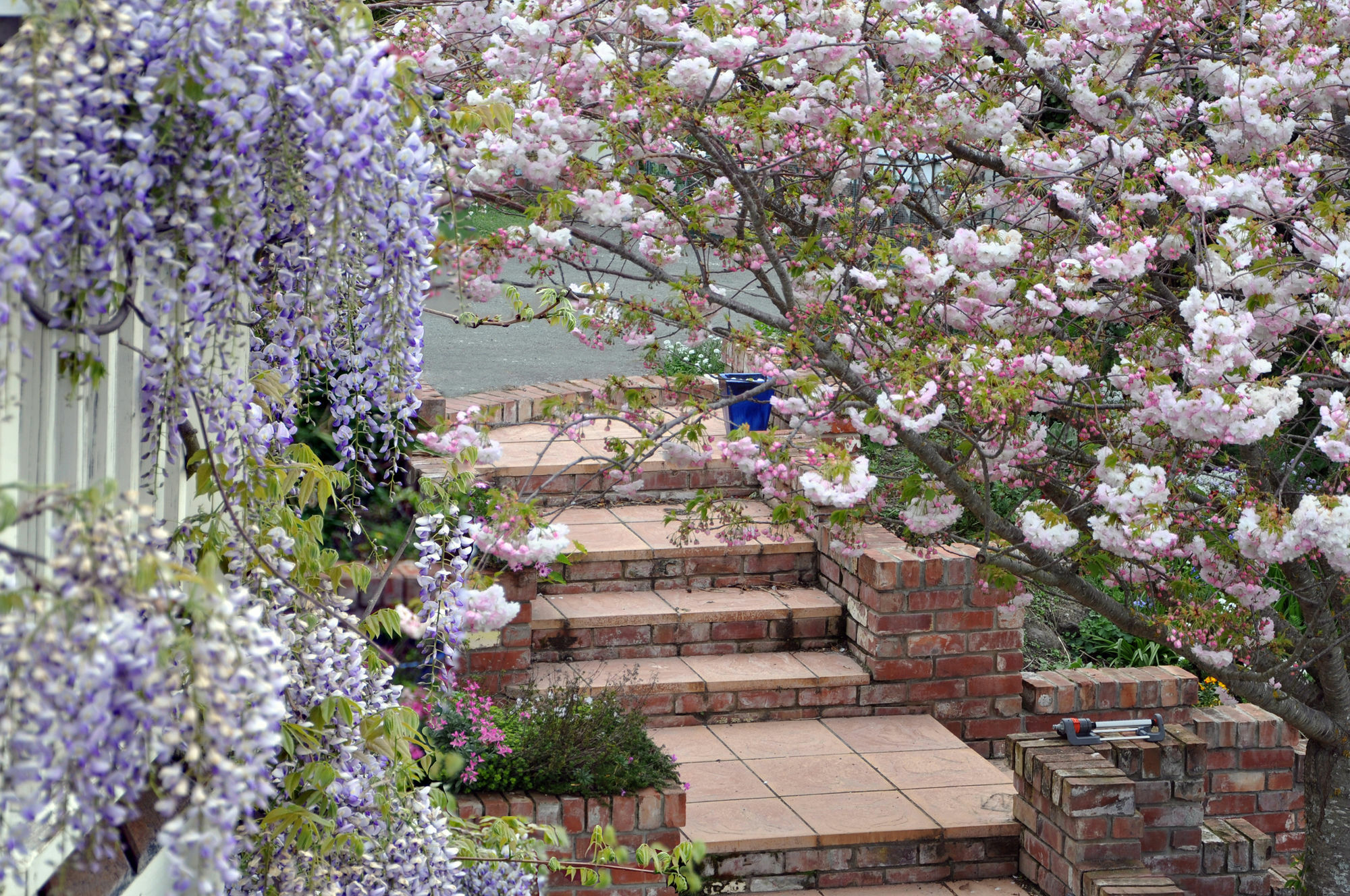 Dyers House Bed & Breakfast Christchurch Exterior photo
